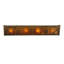 4 - Light Vanity Light
