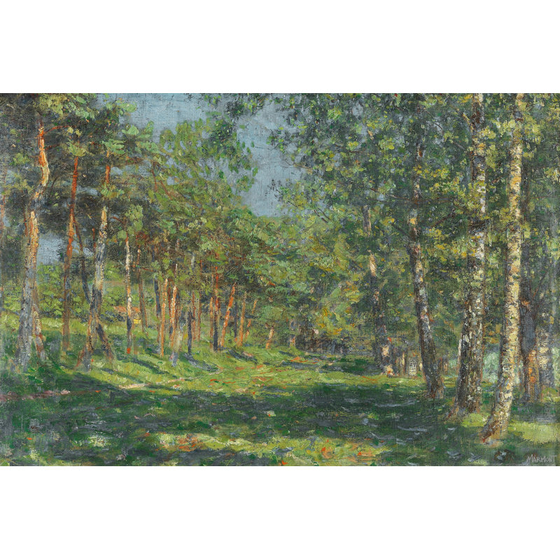 «Sunlit Woods», reproduction sur toile tendue, H 16 po x l 24 po