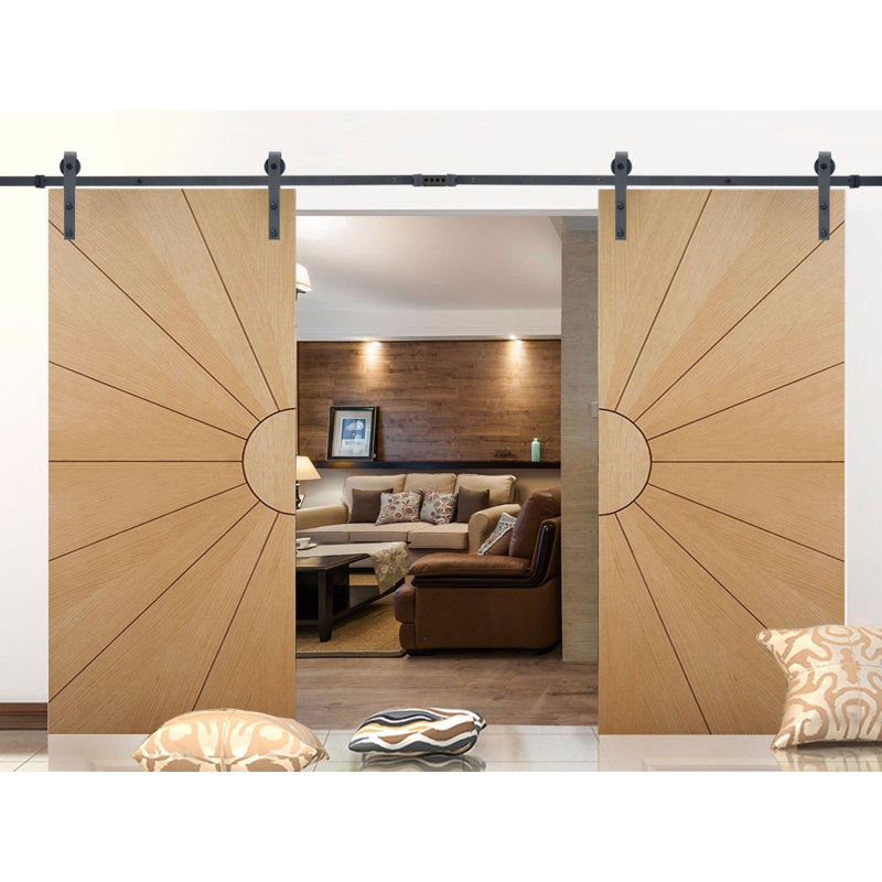 Classic Black Steel Double Door Barn Door Hardware Kit Standard Double