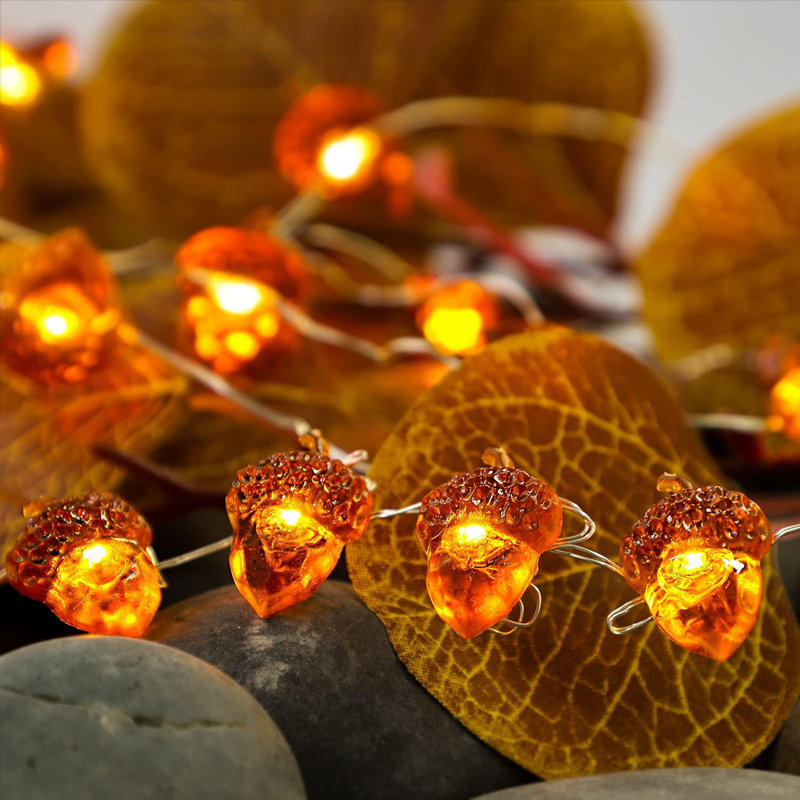 Bissie Indoor 4.8'' Plug-in Fairy String Light