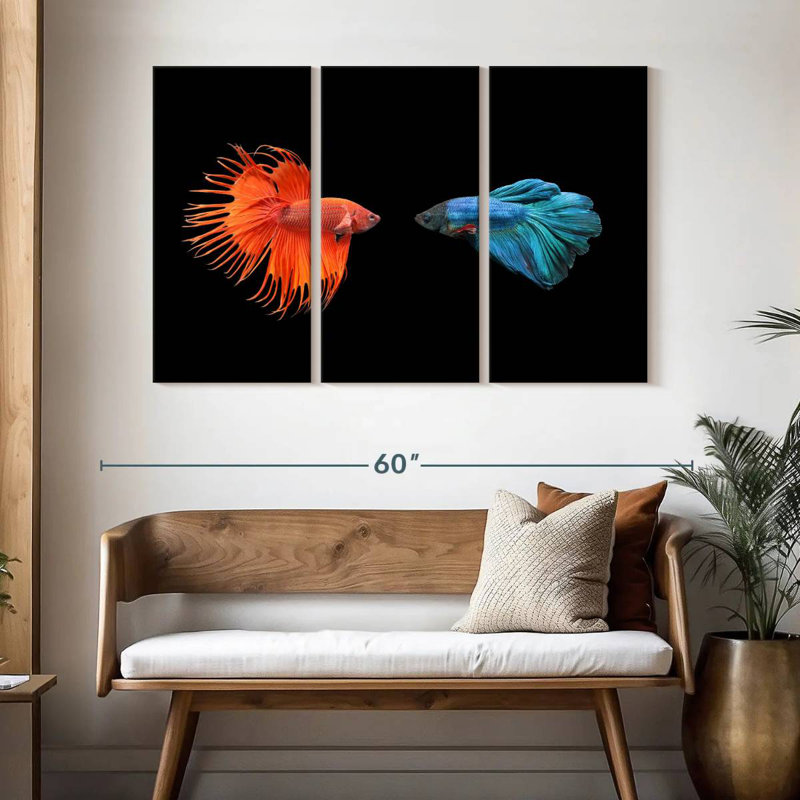 Brampt Betta Fish Meet, 32" H x 50" W