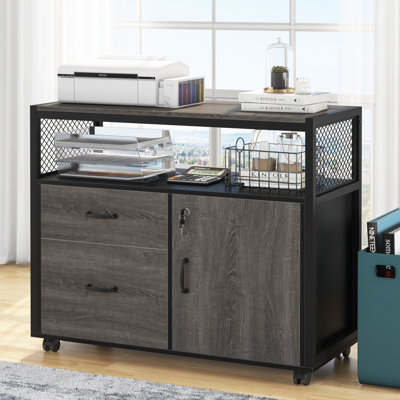 15.74"W X 29.92"H Mobile 2 Drawer File Cabinet With Doors by XDYZ