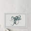 «Wondering Octopus», reproduction encadrée-1546066950