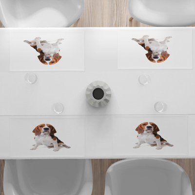 Récapitulatif 18,5" beagle
