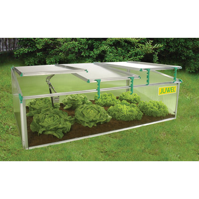 Châssis frais l 31,2 po X P 59,04 po BioStar