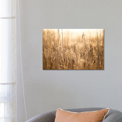 Morning Light 1 Piece Wrapped Canvas Wall Art