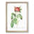 Oak Framed selected