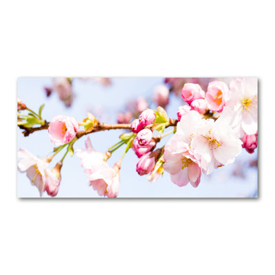 Cherry Blossoms - Wrapped Canvas Print