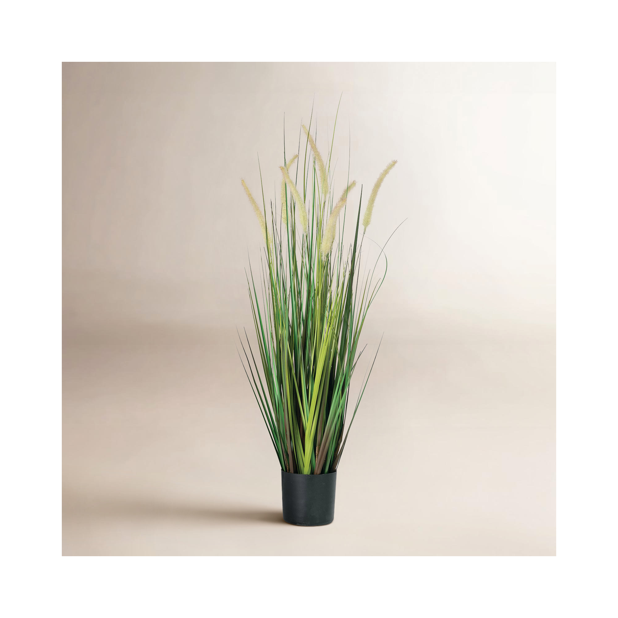 Faux Dogtail Grass in Pot, 38" H x 10" W x 10" D