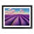 Black Framed selected
