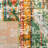 Kaka Performance Oriental Rug-932444503