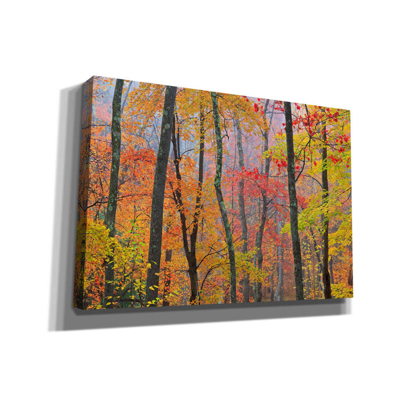 «Autumn Colors» par Patrick Zephyr, art mural sur toile, H 18 po x l 26 po x P 0,75 po