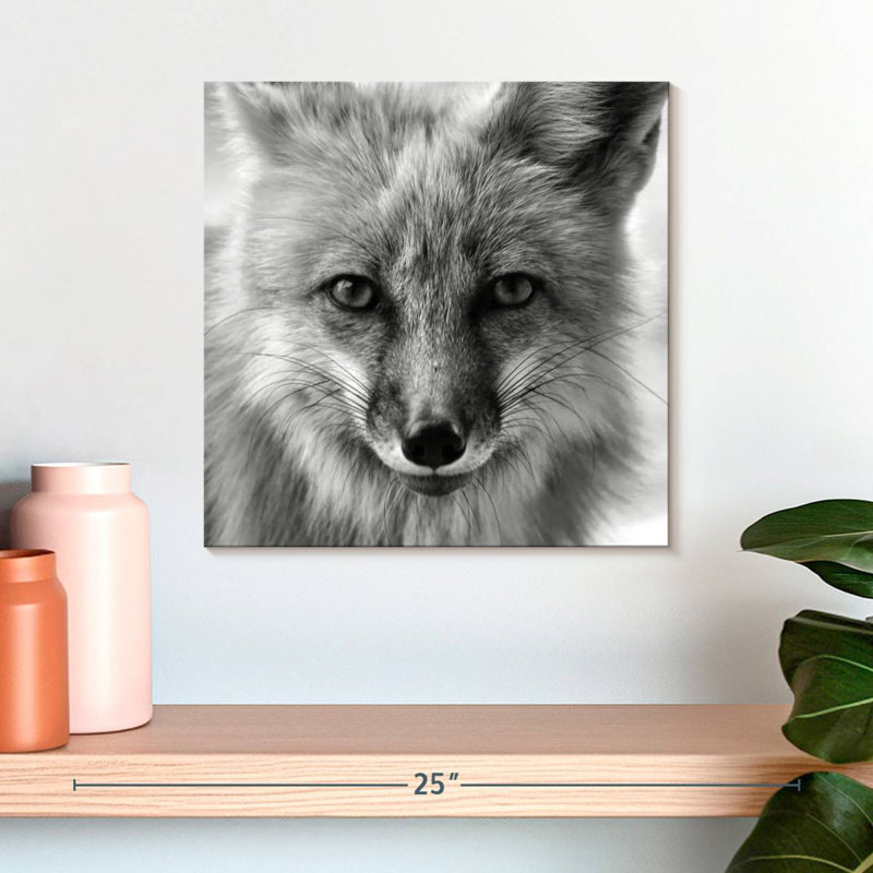 Crowle Fox Portrait, 16" H x 16" W