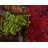 Adetomiwa Geometric Indoor Rug-42216943