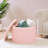 Collapsible Storage Ottoman Round with Tray Teddy Fabric Living Room Bedroom Ottoman with Storage-984372707