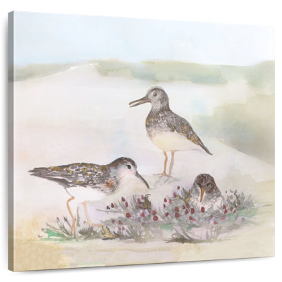 Crowle Beachside Birds III