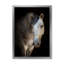 Portrait d'un cheval blanc - Photographie sur toile-60160395-60160396