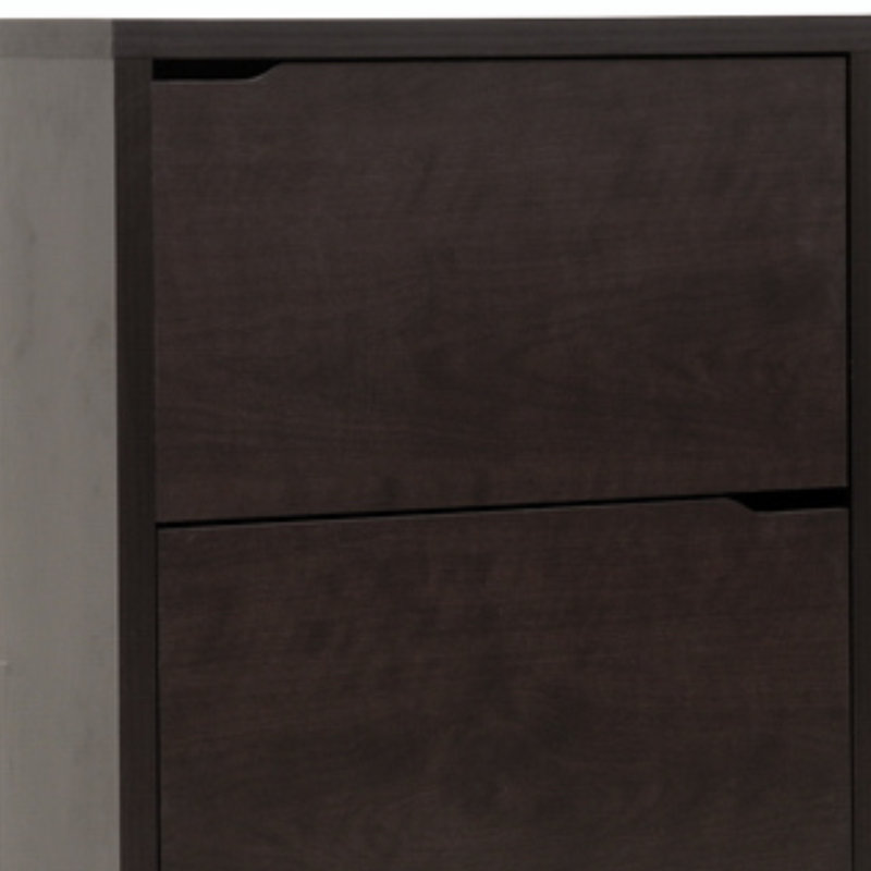 Leticia Brown Finish Modern Shoe Cabinet With Door With Silver Leg, 52.4" H X 30.91" W X 8.87" D