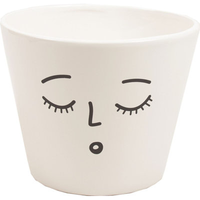 Sleeping Face Planter