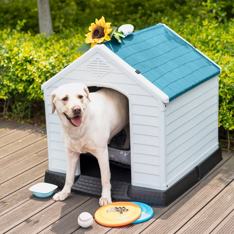 Niche pour chien isolée en plastique Deisi, H 30 po x l 30 po x P 33 po, Bleu