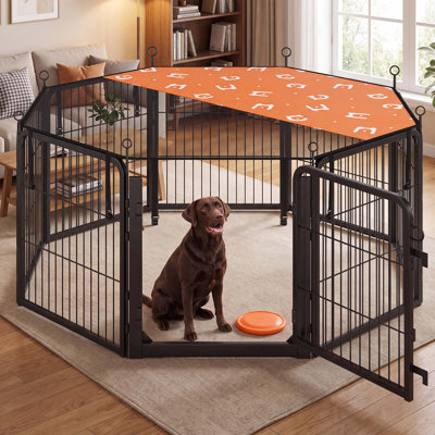 Chenils et enclos pour chiens