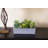 Succulent Garden with Concrete Planter