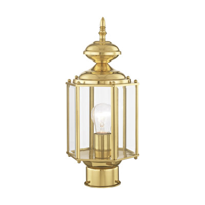 Tête de lanterne câblée à 1 lumière de 14,5 po en laiton poli Amberdawn