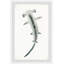Chipman The Hammerhead, reproduction encadrée-547642487