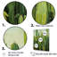 Collage de contour vert cactus - impressions sur toile de cactus-1905633696-1905633721