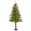 Lighted Artificial Christmas Tree-1736008116