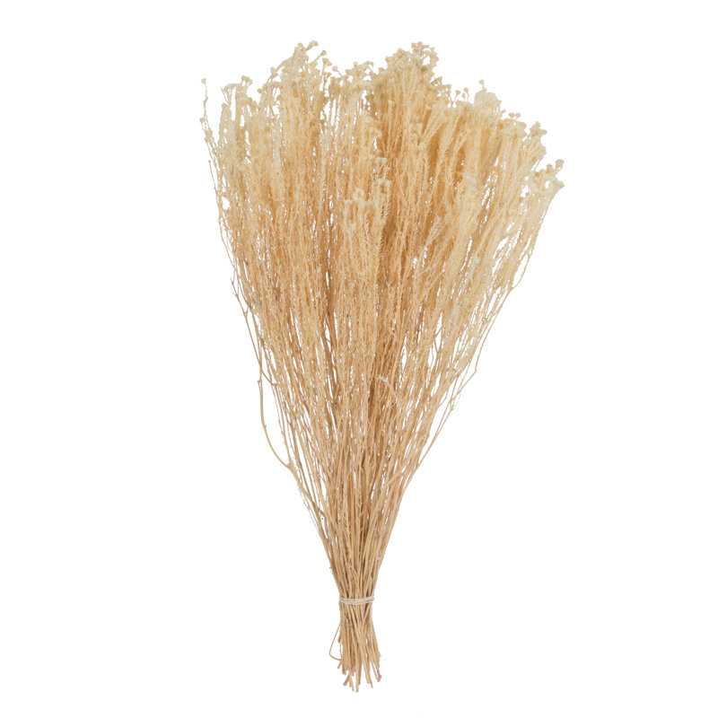 Natural Botanicals Staavia blanchi, 100 grammes par unité