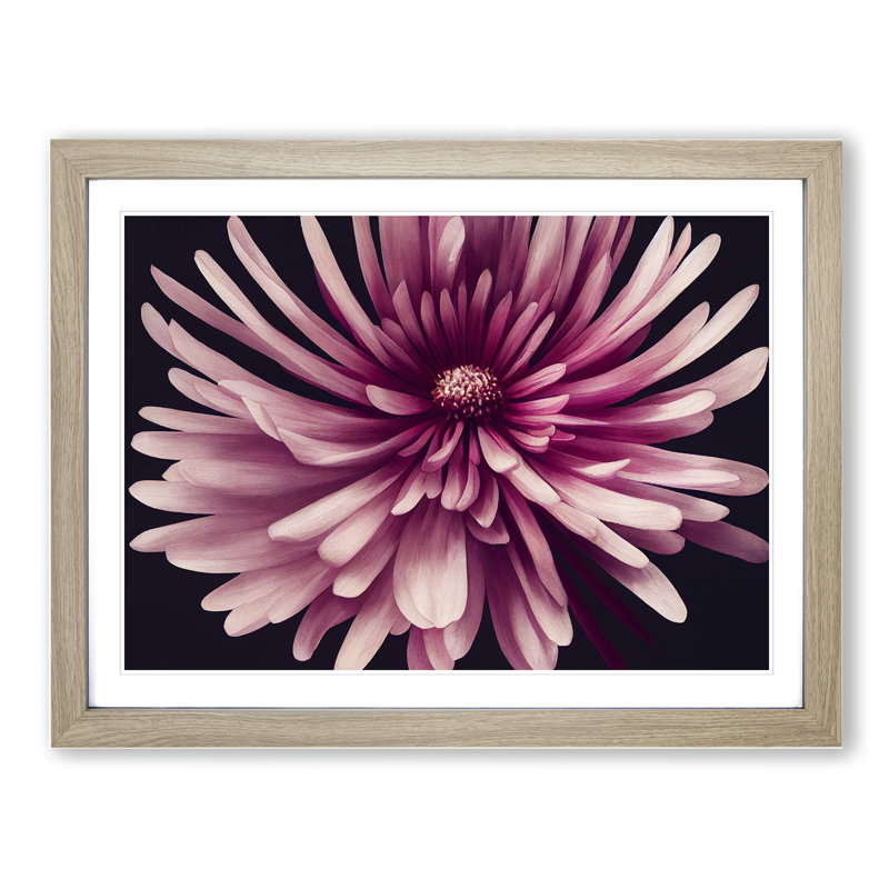 Irresistible Chrysanthemum Flower - Framed Print, 25cm H x 34cm W x 2cm D, Oak