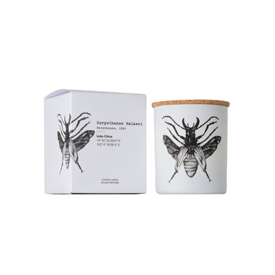 Bougie dans un bocal x 2,95 po