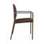 Chaise d'invité Chat Chat-98671306-98881783