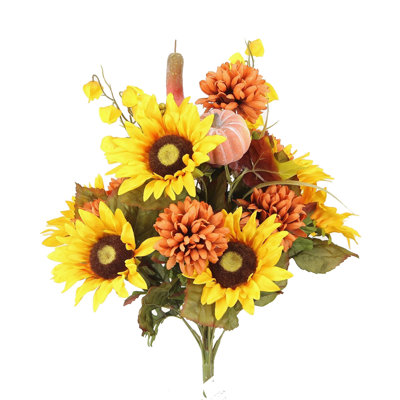 Tournesol mélangé