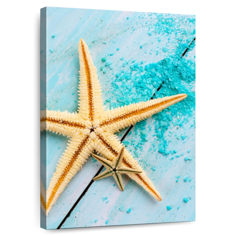 Aletra Starfish Pair, 12" H x 8" W