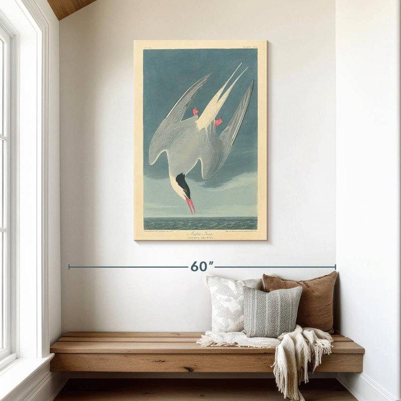 Brampt Arctic Tern, 45" H x 30" W