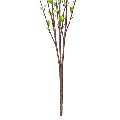 Willow Stems