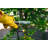 Yard Butler Deep Root Water Irrigator for Trees and Shrubs