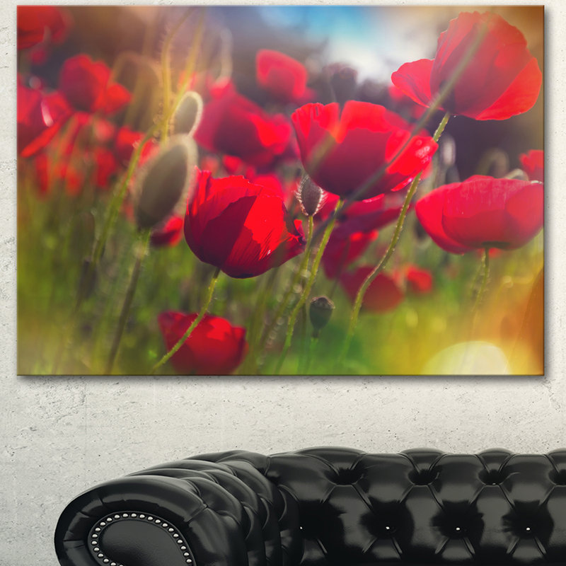 Thick Red Poppy Flowers - Reproduction de photo sur toile tendue, H 30 po x l 40 po
