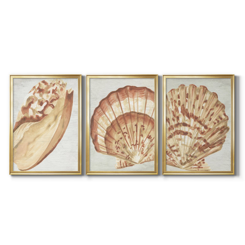 «Vintage Shell Vignette I», toile tendue encadrée sur mesure - 3 pièces, H 15 po x l 19 po, Doré