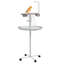 Bird Table with Wheels for Indoor Stainless Steel Feed Bowls White