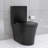 Modern Matte Black Toilet, 1.1/1.6 Dual Flush, Porcelain Material Toilet With , Bathroom Aesthetic-121602385
