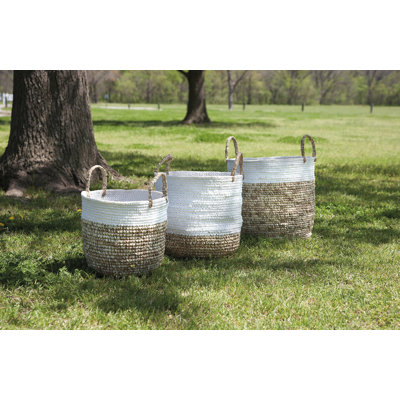 Birch Lane™ Lucian Box