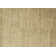 Avey Indoor Rug