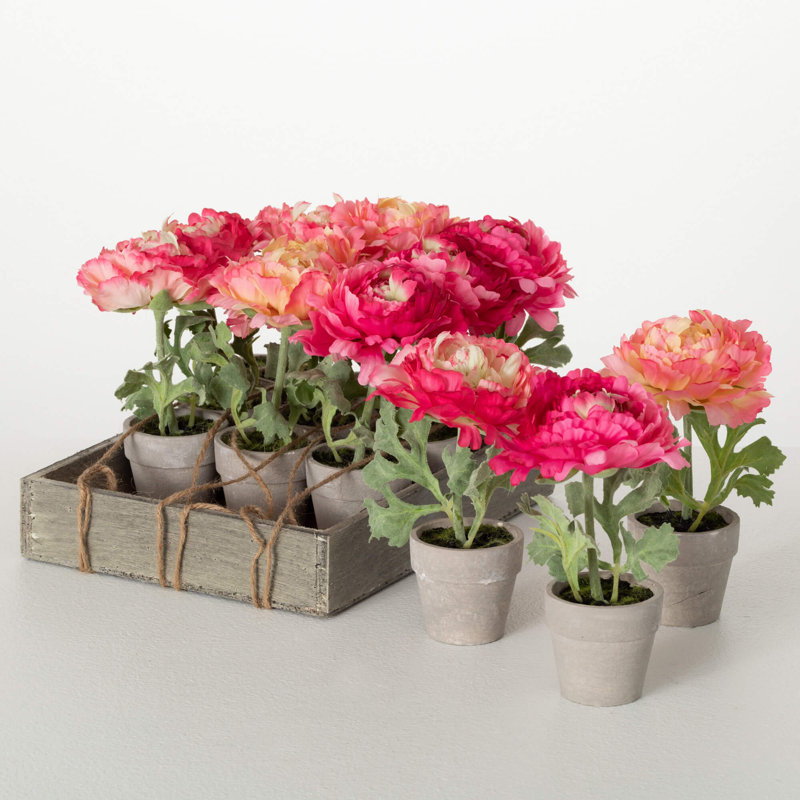 Caisse de pivoines en pot 7 po