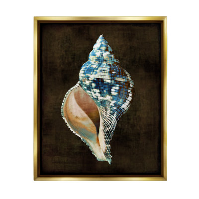 " Modern Conch Shell " by Caroline Kelly