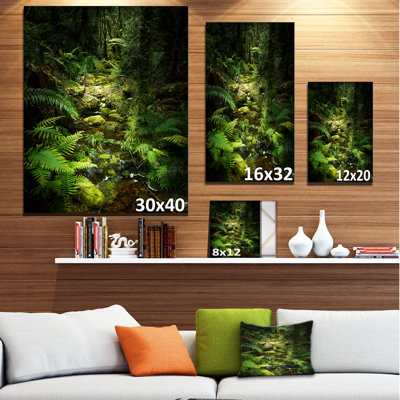 « green forest of new zealand », reproduction de photo sur toile tendue