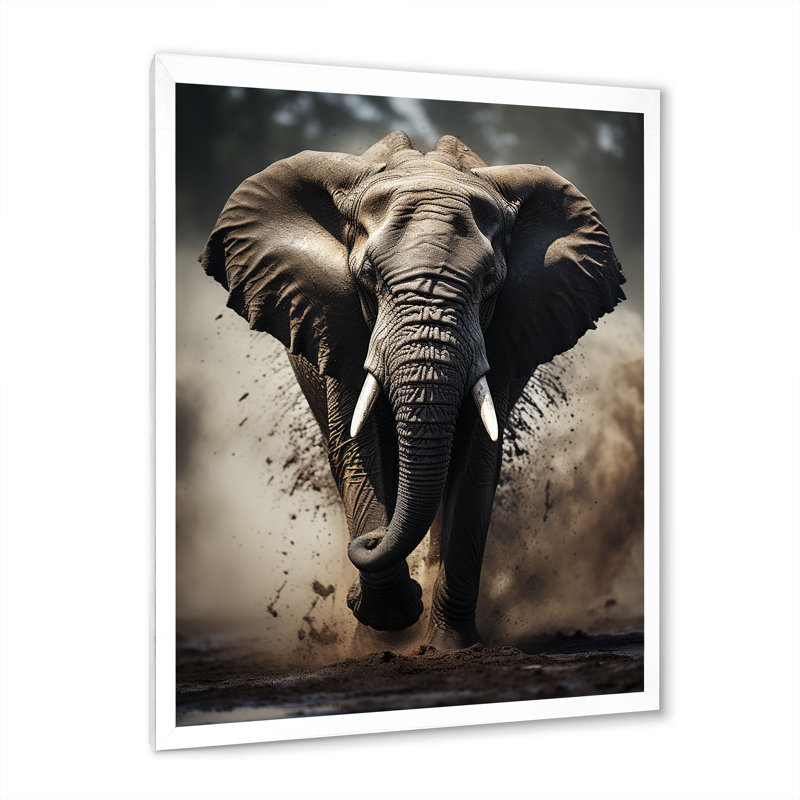 Éléphant Banwari Glimmers of Grace - imprimé, H 44 po x l 34 po x P 1,5 po, Cadre photo blanc