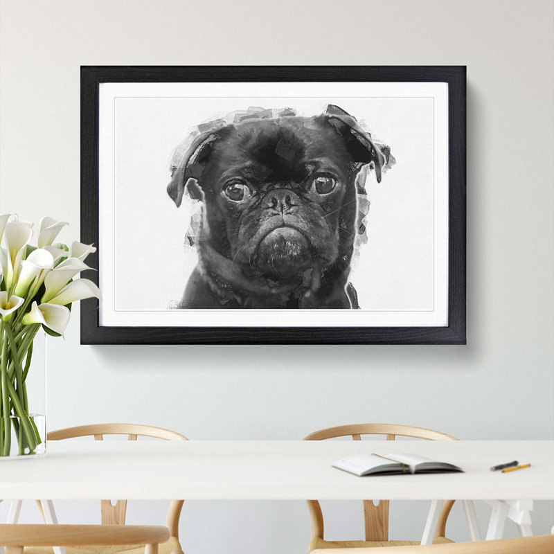 Pug Dog in Abstract - Framed Print, 50cm H x 76cm W x 2cm D, Black